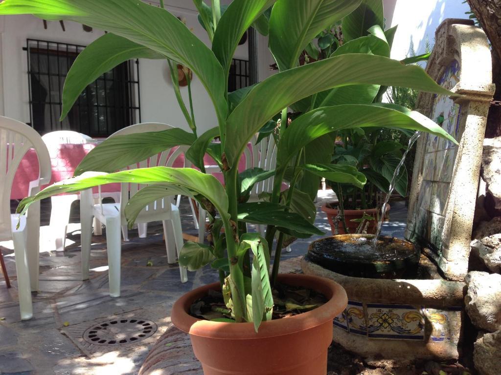 Casa de Campo El Rincon Del Infante *